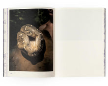 Belly of the Giant Serpent: Prophecy / 巨蛇之腹：预言 (Signed)