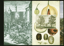 Dreams To Remember: Memories From A Teenage Room (1970 - 1979)