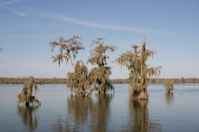 PASÉ BÉL TAN : FRANCOPHONIES AND CREOLITIES IN LOUISIANA