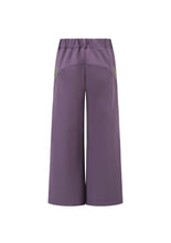 GAMMA Quick Dry Climbing Pants - Purple