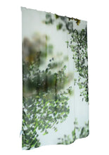 Blurred Trees Curtain