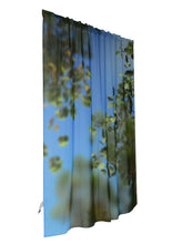 Sky and Trees Curtain