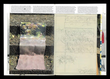 Memories Bloom Again