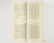 Mode and Mode issue 8 'Rogue'