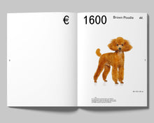 Object-Oriented Identity: Cultural Belongings from our Recent Past (2nd Edition)