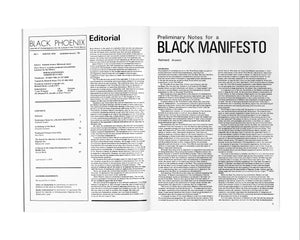 Black Phoenix: Third World Perspective on Contemporary Art and Culture