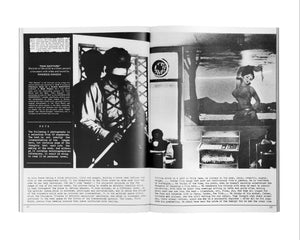 Black Phoenix: Third World Perspective on Contemporary Art and Culture