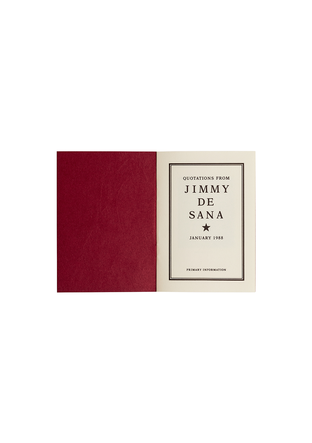 Quotations from Jimmy DeSana
