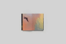 LES OISEAUX