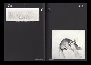 Drawing, Antoine de Galbert Collection