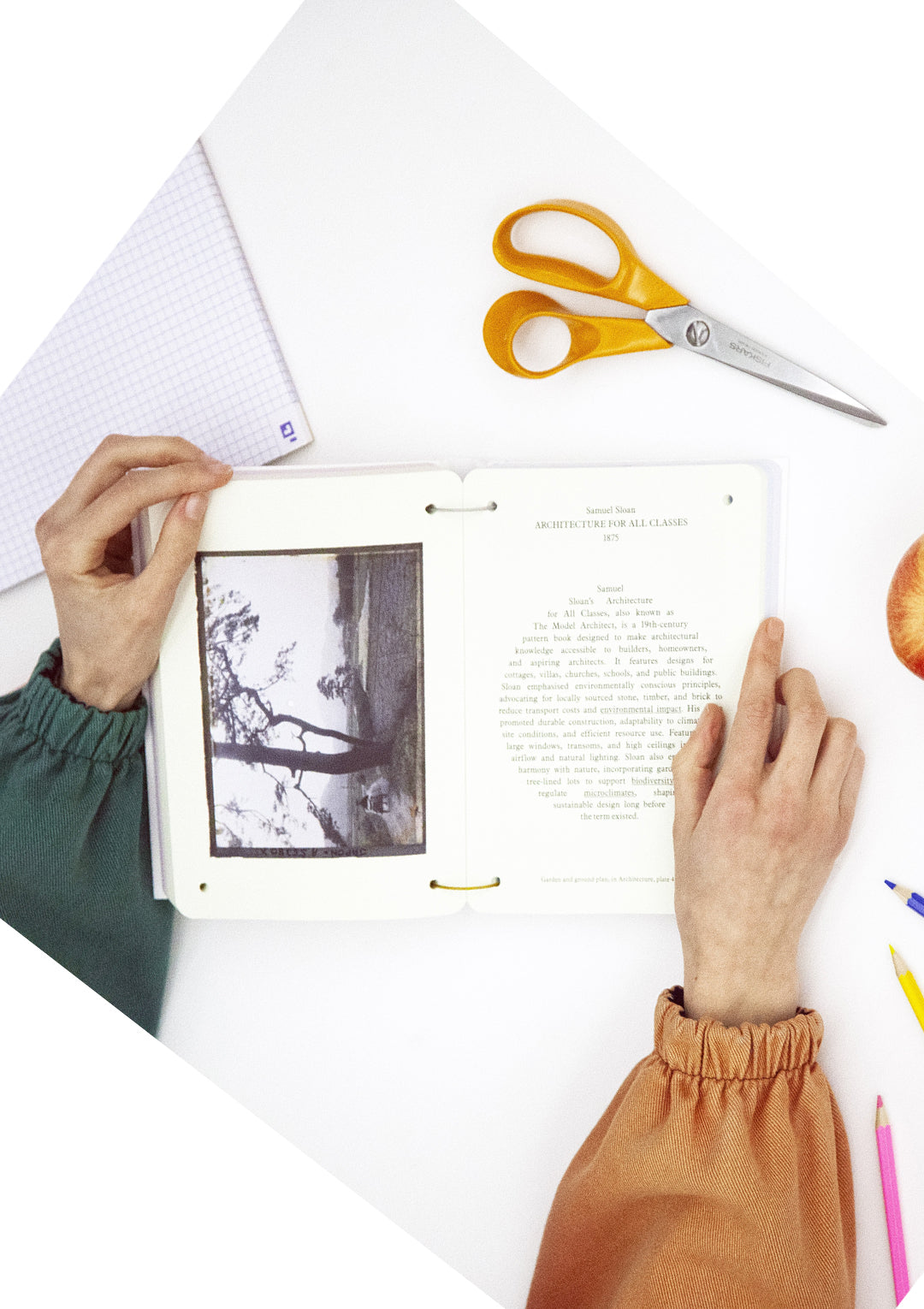 Standard ISO 29991. Thesaurus of Child Ecology