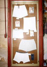 El ficus del Parterre (Catalog)