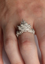 "First Maple" Prince Rupert's Ring