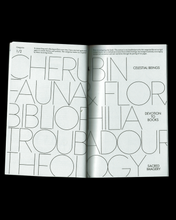 Bobbilibris Vol.1