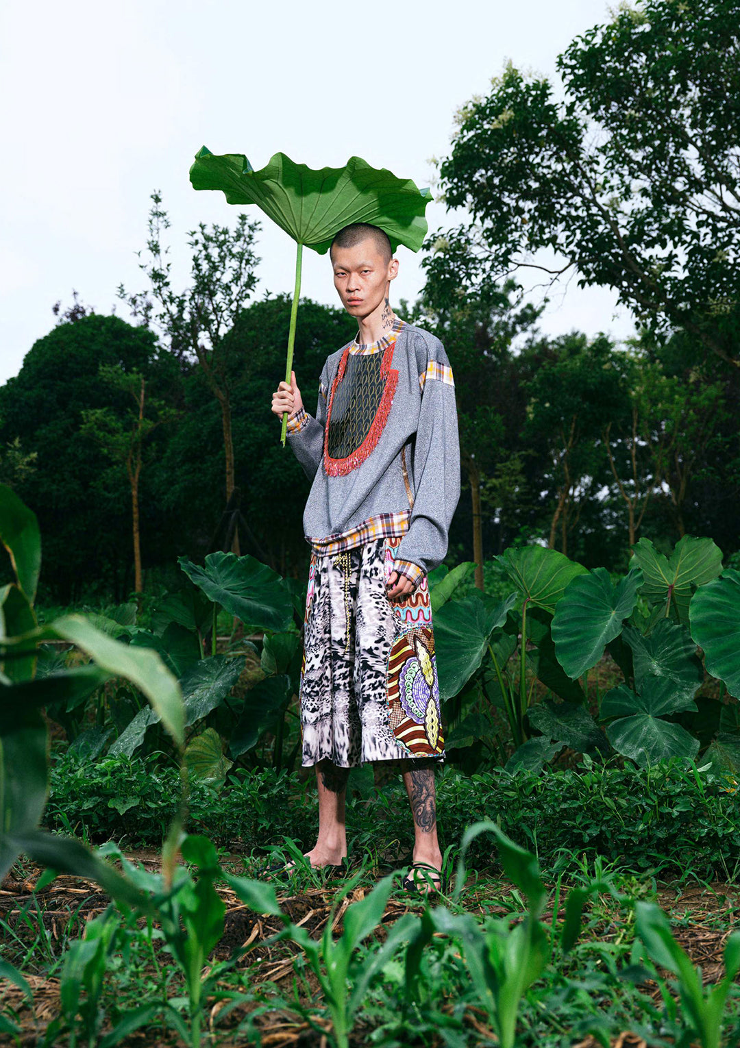 Creature in the Field Shorts