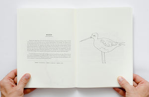 Bird Guide II