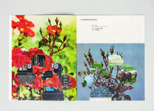 FLORIBUNDAROSEN