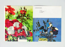 FLORIBUNDAROSEN