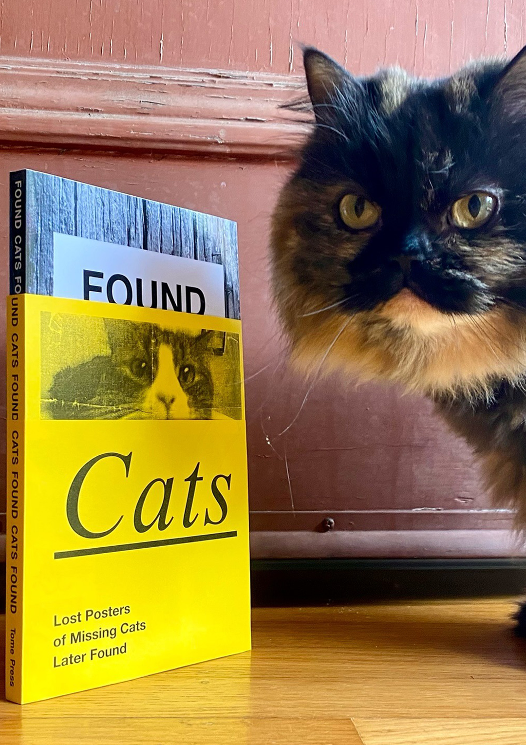 Found Cats: Lost Posters of Missing Cats Later Found