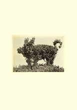 Standard ISO 29991. Thesaurus of Child Ecology