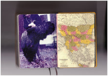 Homographs (English)