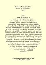 Standard ISO 29991. Thesaurus of Child Ecology