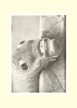 Standard ISO 29991. Thesaurus of Child Ecology