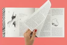 Slow Earth Companion: Rooted Wayfinding in Fragmentary times