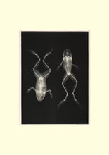 Standard ISO 29991. Thesaurus of Child Ecology