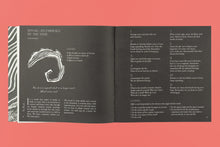 Slow Earth Companion: Rooted Wayfinding in Fragmentary times