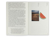 Beyond the Image: On Visual Culture in the Twenty-First Century