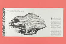 Slow Earth Companion: Rooted Wayfinding in Fragmentary times