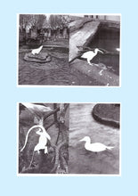 Standard ISO 29991. Thesaurus of Child Ecology