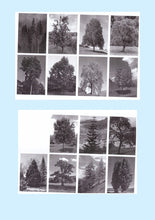 Standard ISO 29991. Thesaurus of Child Ecology