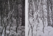 Edges of Landscape