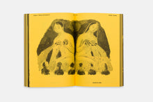 With a Bird, A Reader on Avian Kinship