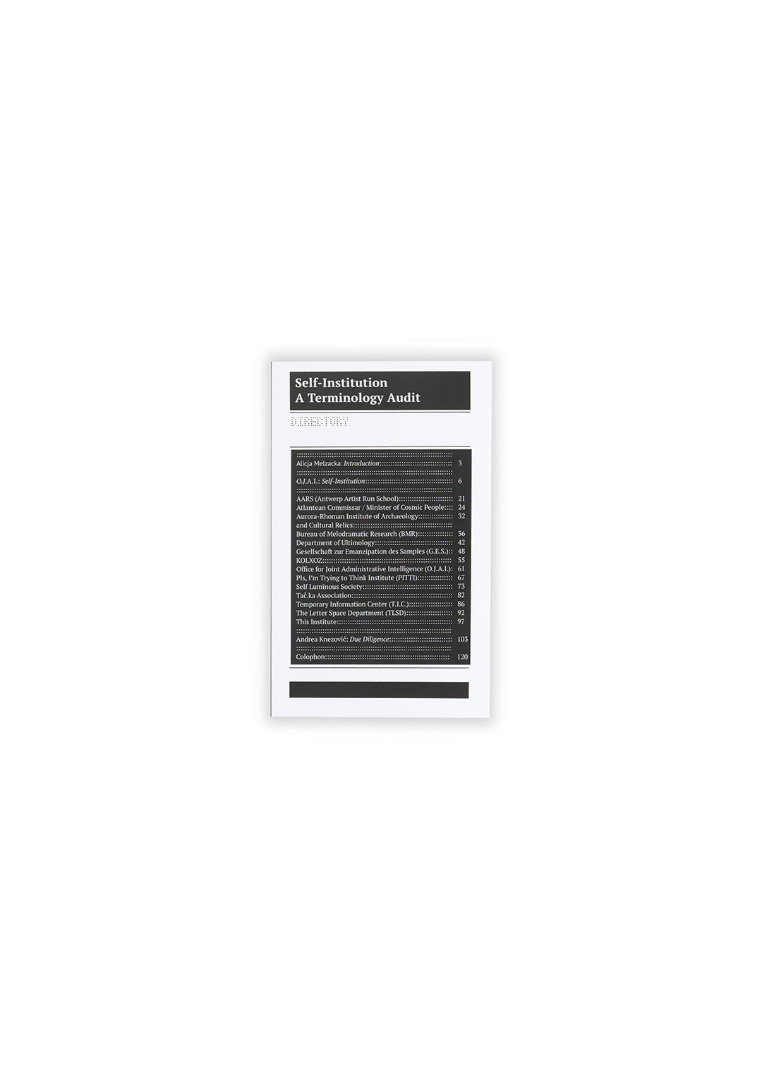 Self-Institution/ Terminology Audit