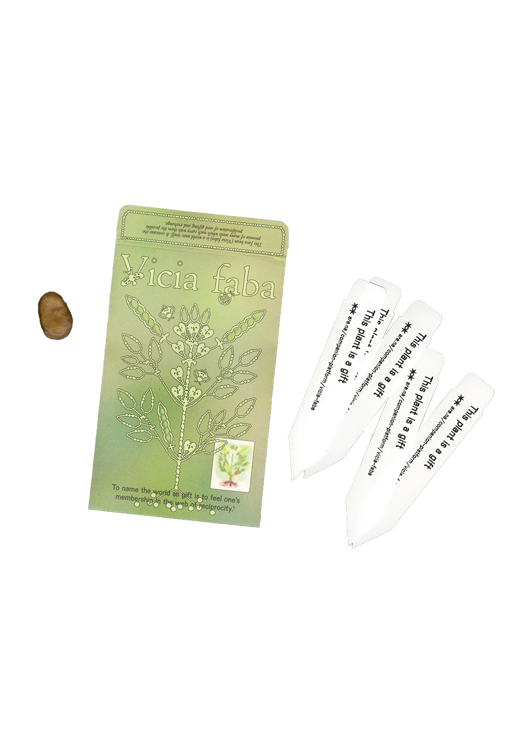 Vicia Faba - Seed Packet (Single Fava Bean)