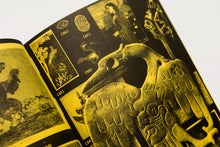 With a Bird, A Reader on Avian Kinship
