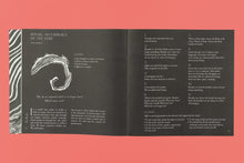 Slow Earth Companion: Rooted Wayfinding in Fragmentary times
