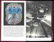 The Dragonfly’s Eye: My Virtual Camera (AI)