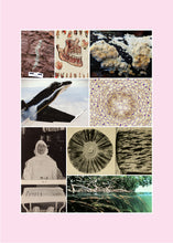 Standard ISO 29991. Thesaurus of Child Ecology