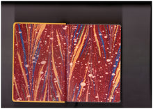 Homographs (English)