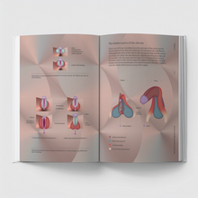Atlas of Queer Anatomy