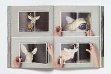 As Far as You Can See