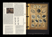 n°53 — Graphic Designers as Iconographers.