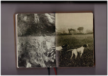 Homographs (English)