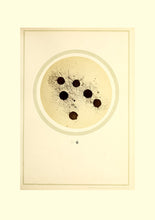 Standard ISO 29991. Thesaurus of Child Ecology