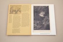 Floating Signifiers – Case studies on image, origin and representation