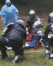 THE KNIGHT, THE PRINCESS AND THE GOOSE